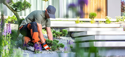 Landscaping Design Projects